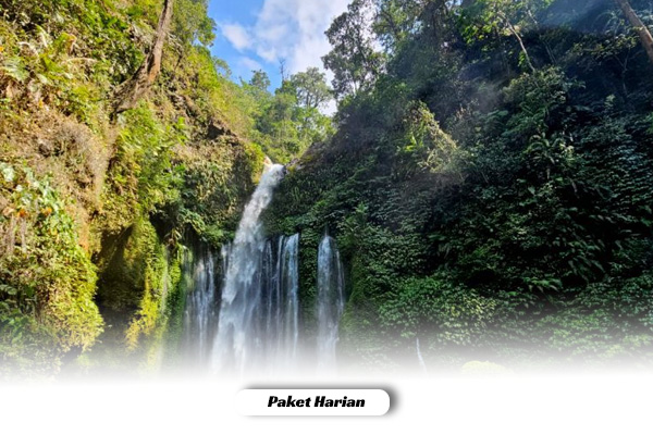 Paket harian 2