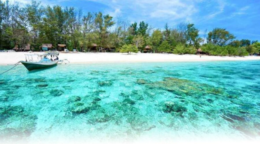 paket tour 7