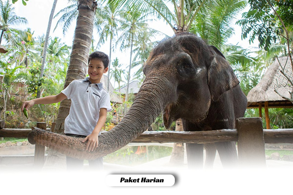 wild park